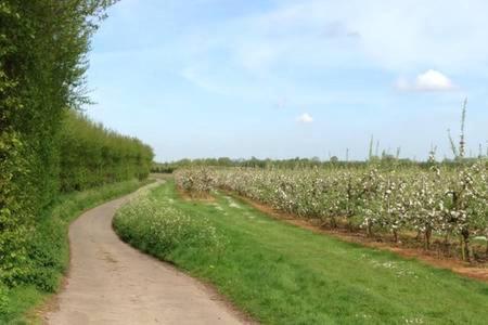 Church Farm B&B Suffolk Great Whelnetham Экстерьер фото